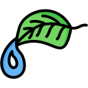 Fiddle Leaf Fig Plant 'Humidity' label logo