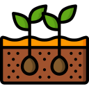 Fiddle Leaf Fig Plant 'Soil Type' label logo