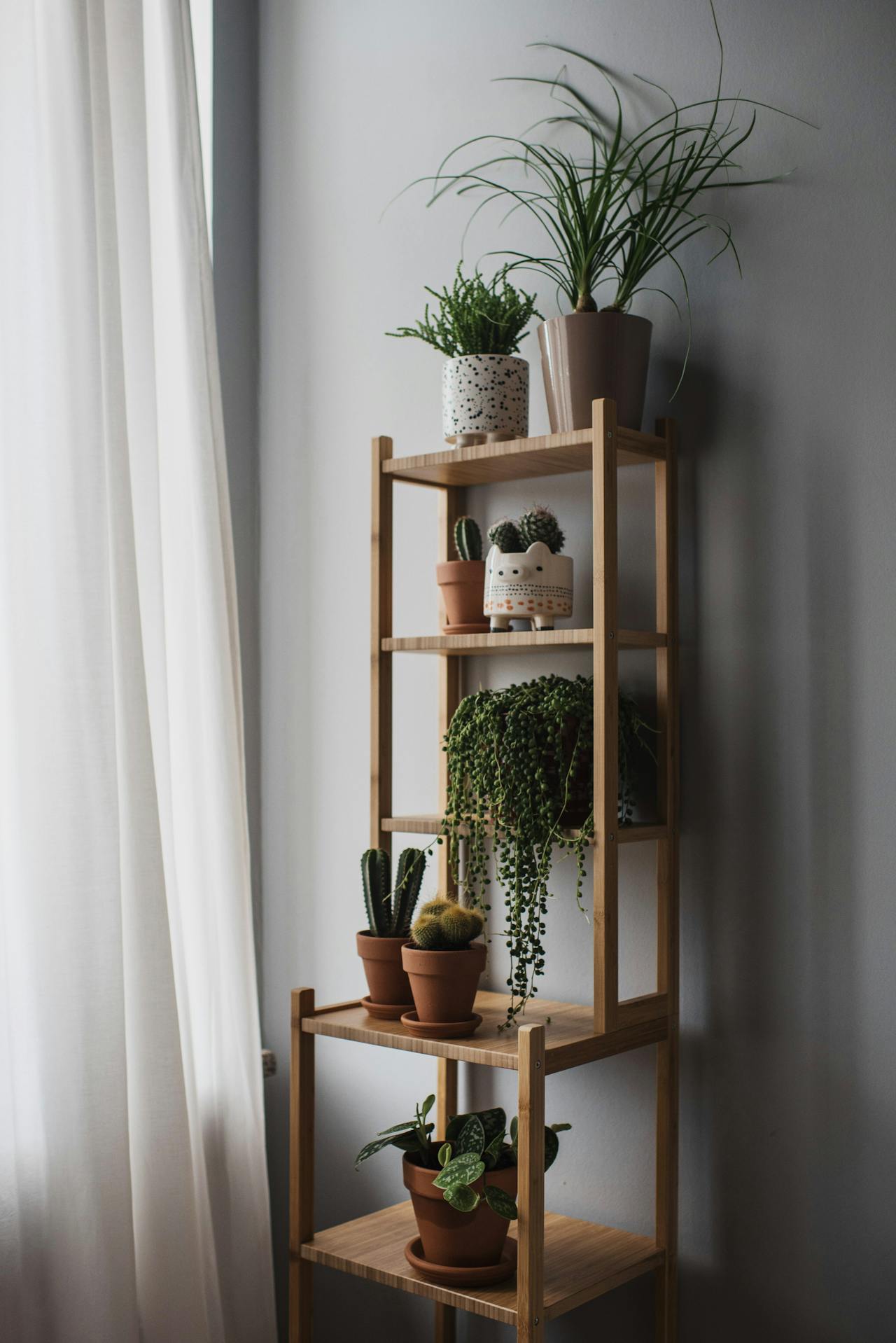 Elegant 6-Tier Plant Stand with Dracaena Marginata on Top Elegant 6-Tier Plant Stand with Dracaena Marginata on Top