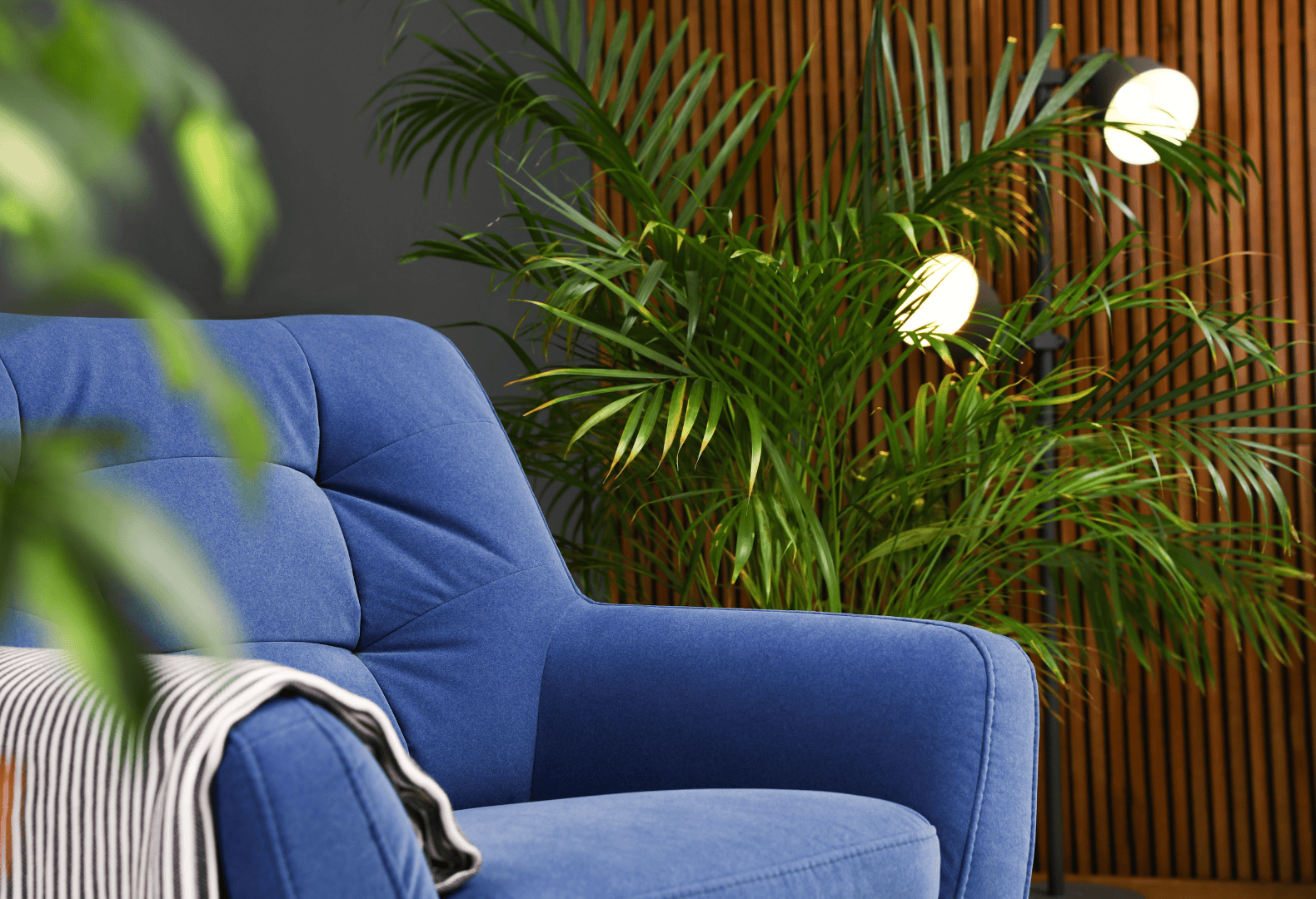Office Interior Styling with Parlor Palm and Ambient Lighting Parlor Palm placed beside an armchair under a spotlight in a modern office interior